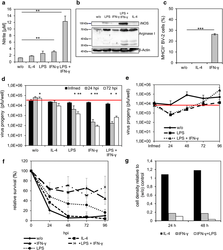 Figure 5