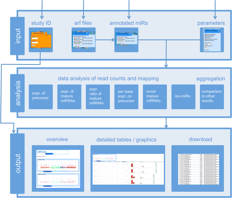 Figure 1