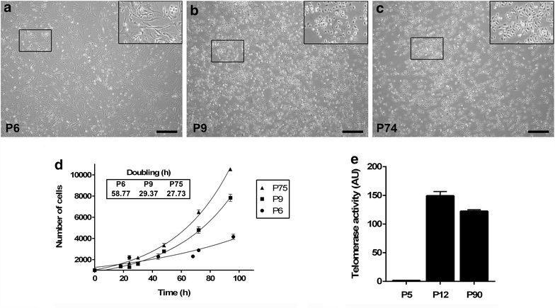 Figure 5