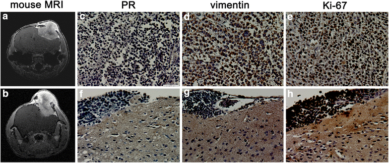 Figure 9