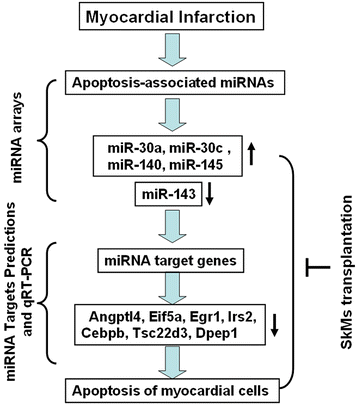 Fig. 6