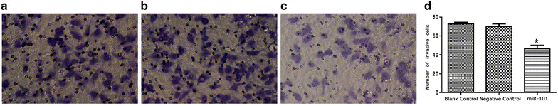 Fig. 5