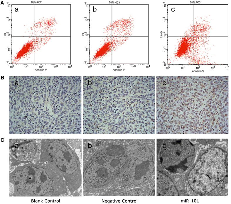 Fig. 6