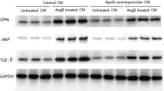 Fig. 4