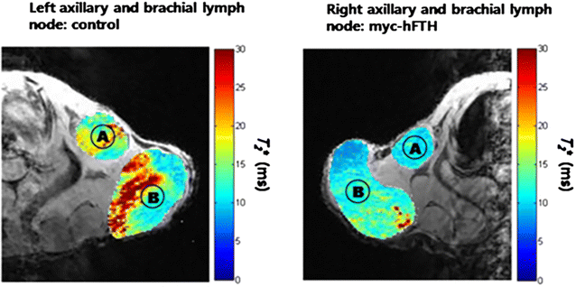 Fig. 13