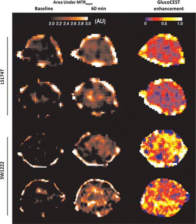 Fig. 8