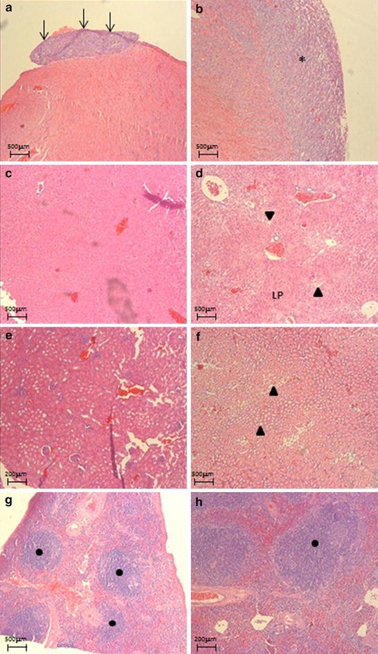 Fig. 4