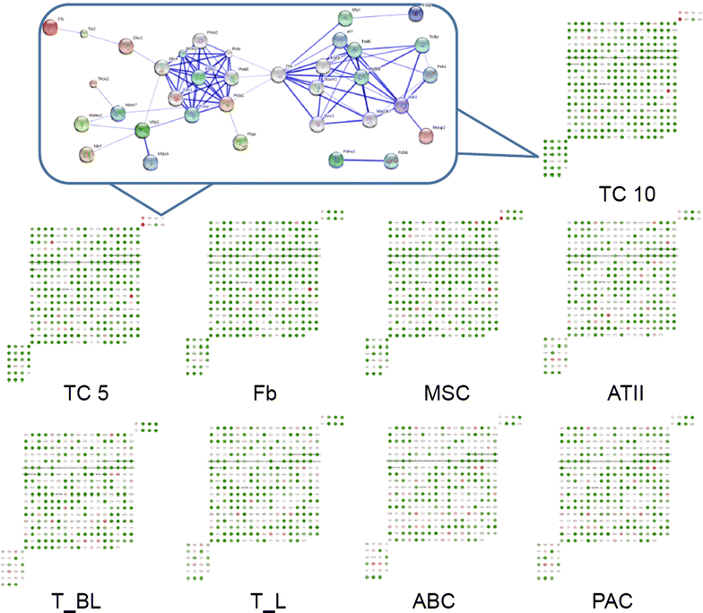 Fig. 3