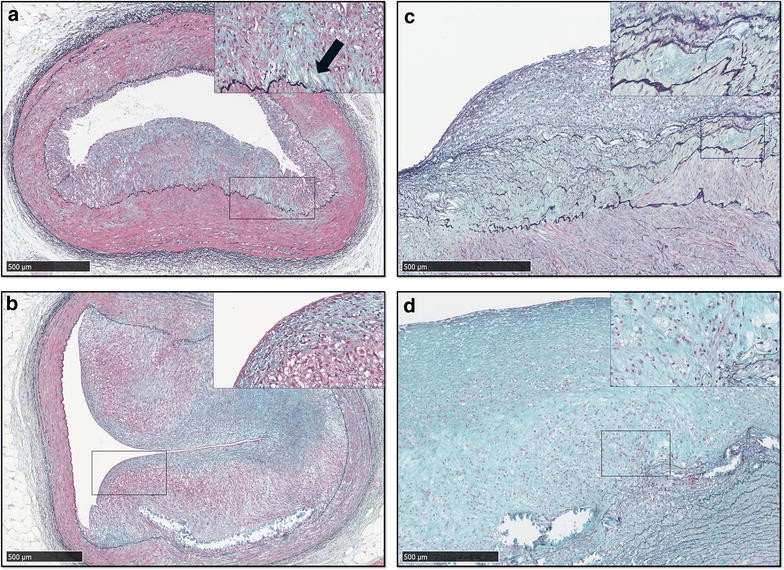 Fig. 5