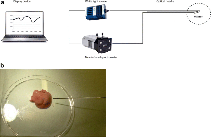 Fig. 2