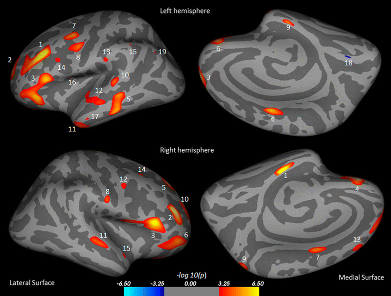 Fig. 1