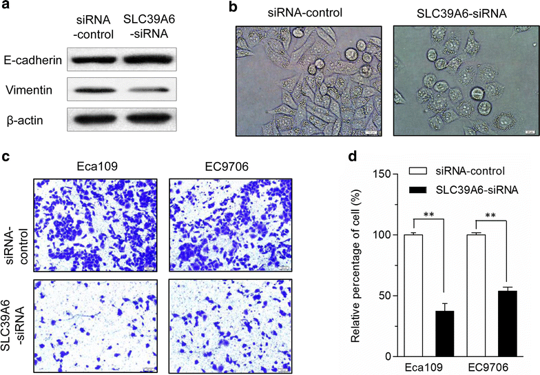 Fig. 6