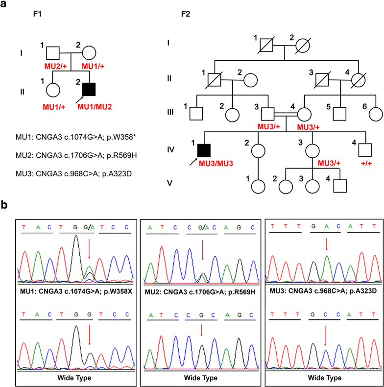 Fig. 1