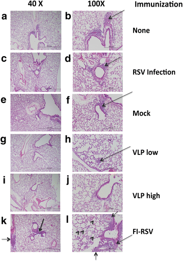 Fig. 6