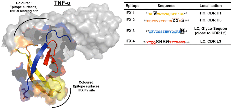 Fig. 3