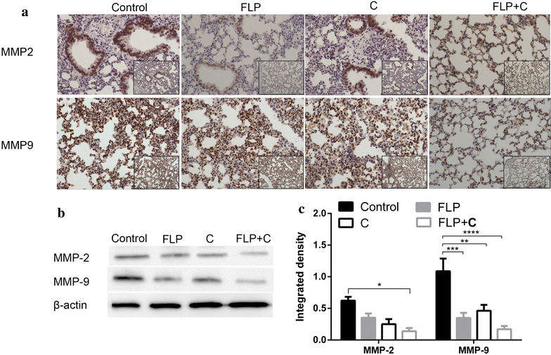 Fig. 7