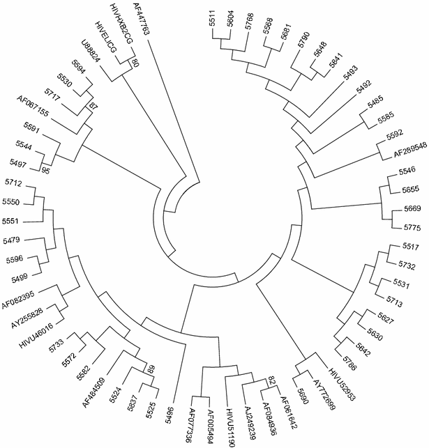 Fig. 1