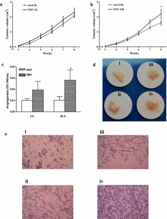 Fig. 6