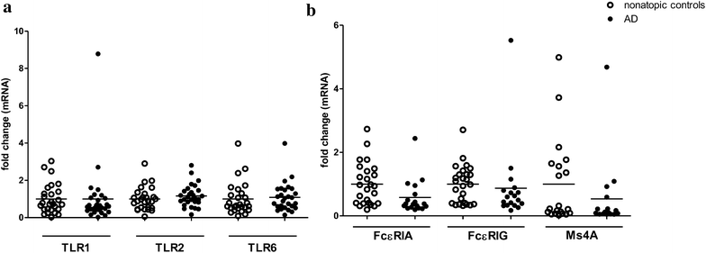 Fig. 6