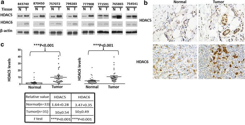 Fig. 7