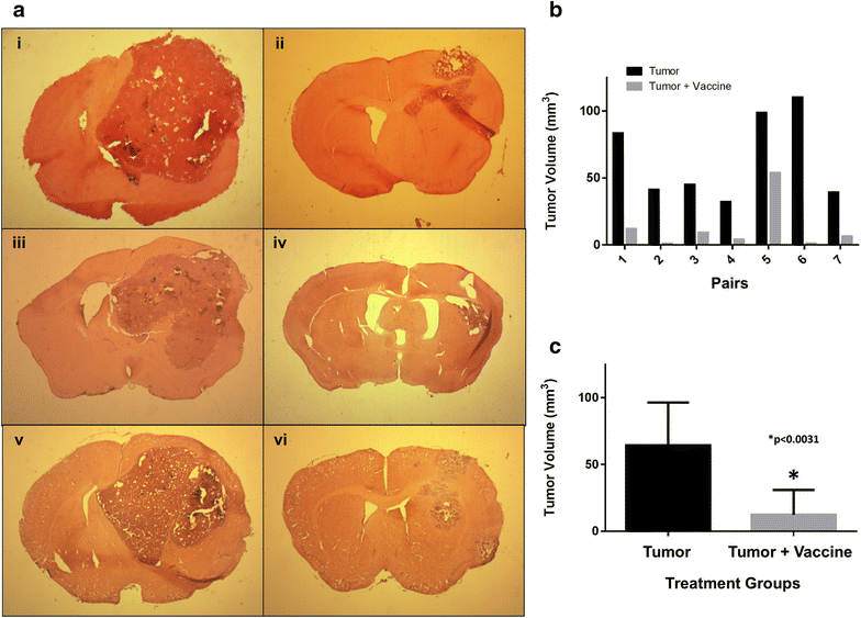 Fig. 6