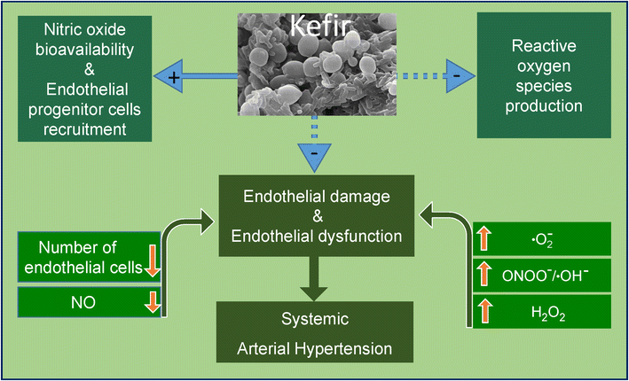 Fig. 9