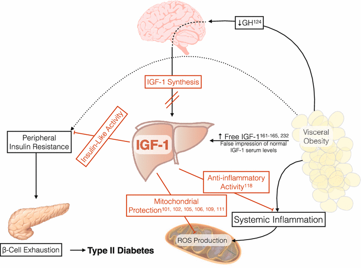 Fig. 2