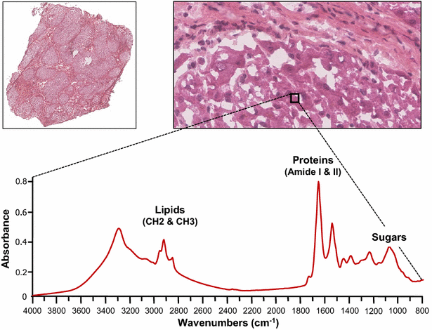 Fig. 1