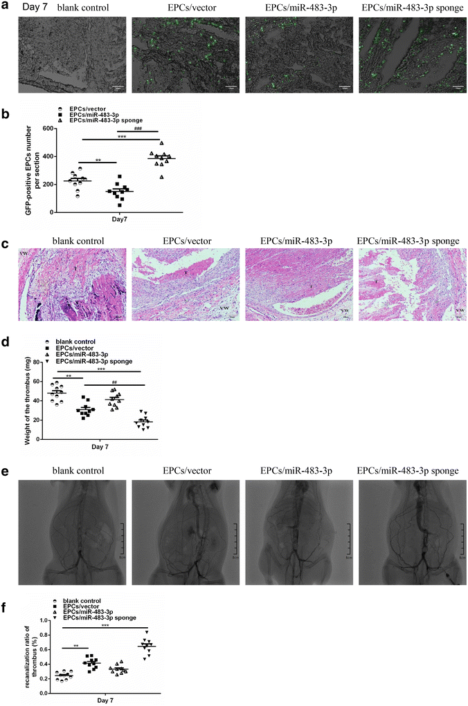 Fig. 7