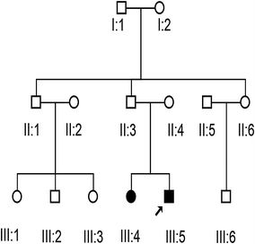 Fig. 1