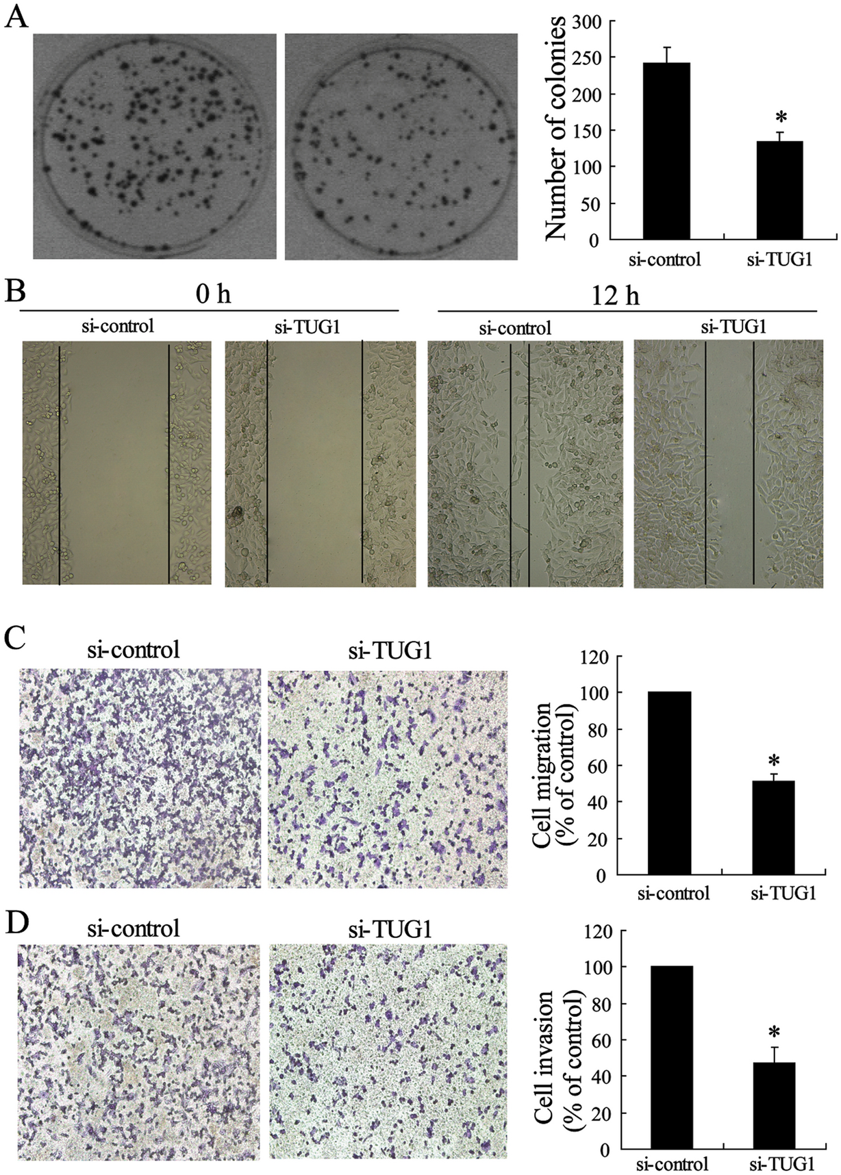 Fig. 4