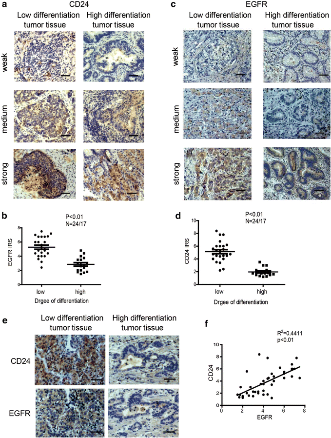 Fig. 6