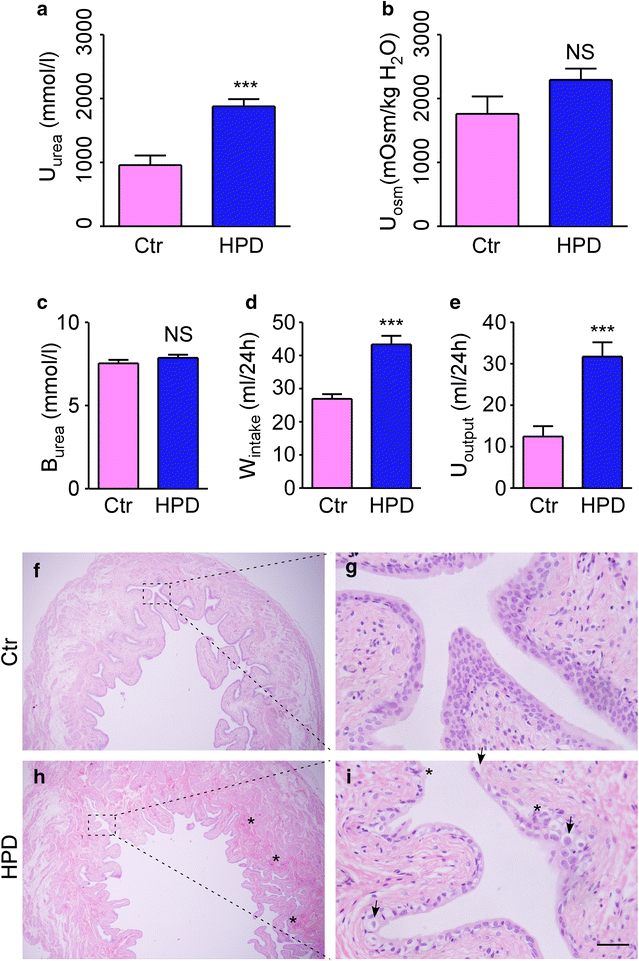 Fig. 6