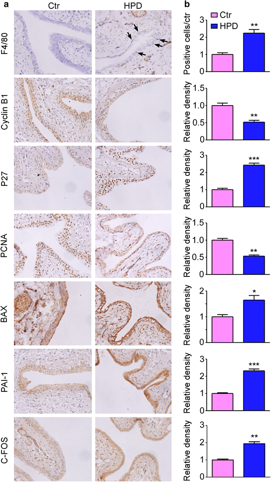 Fig. 8