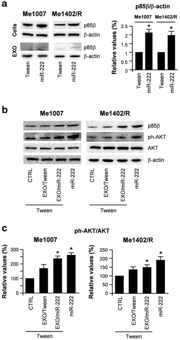 Fig. 6