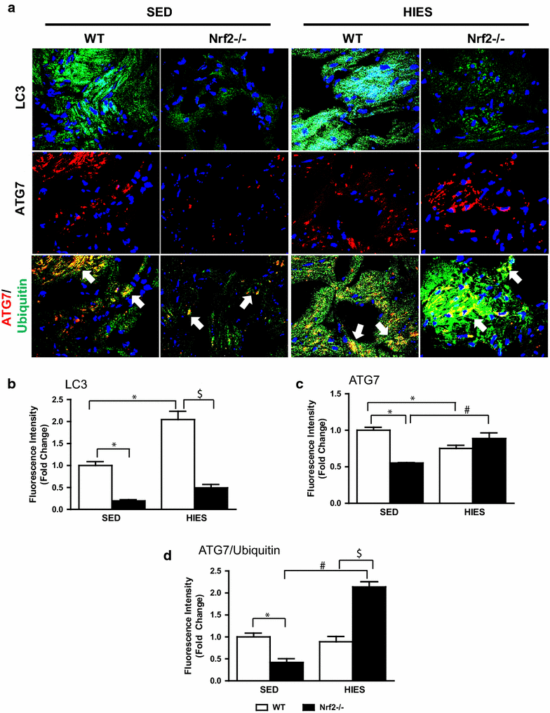 Fig. 6