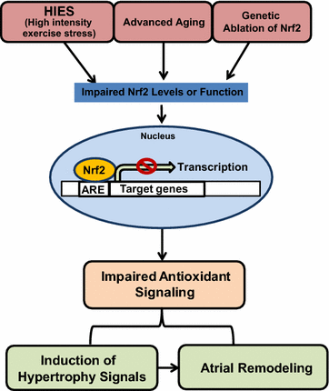 Fig. 7