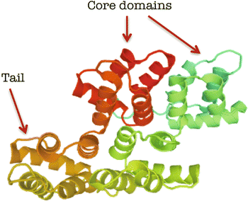 Fig. 2