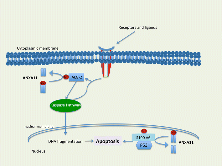 Fig. 4