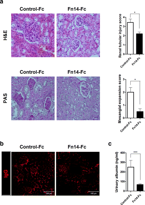 Fig. 5