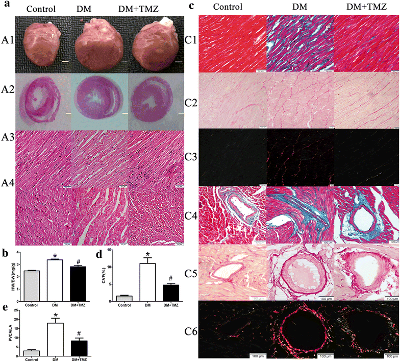 Fig. 3