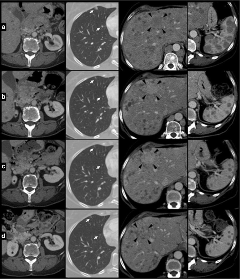 Fig. 6