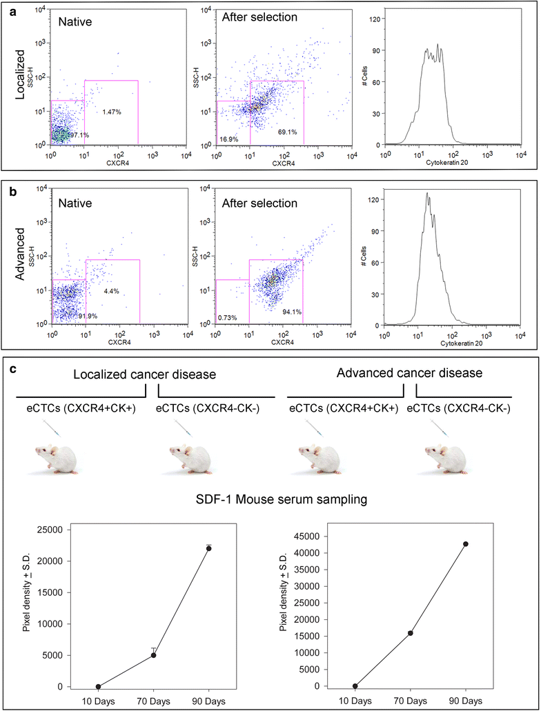 Fig. 7