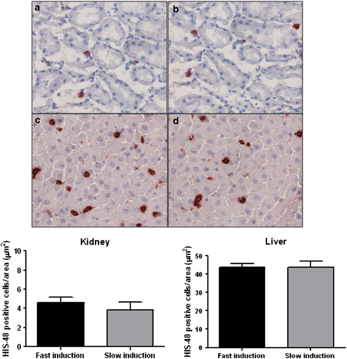 Fig. 6