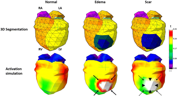 Fig. 4