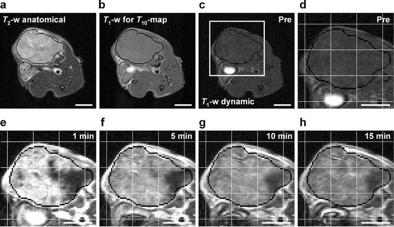 Fig. 2