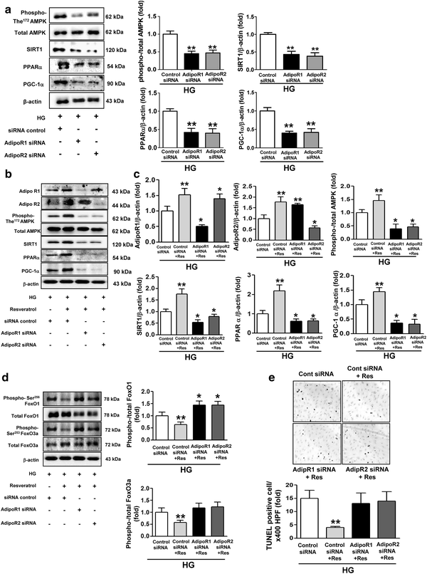 Fig. 7