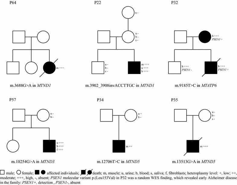 Fig. 3