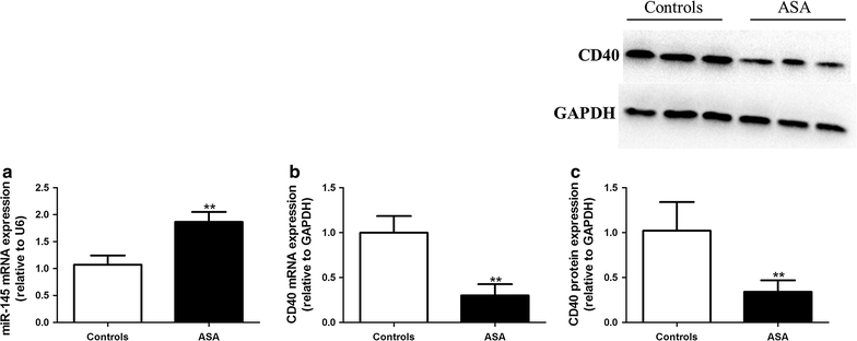 Fig. 9