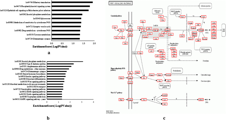 Fig. 4